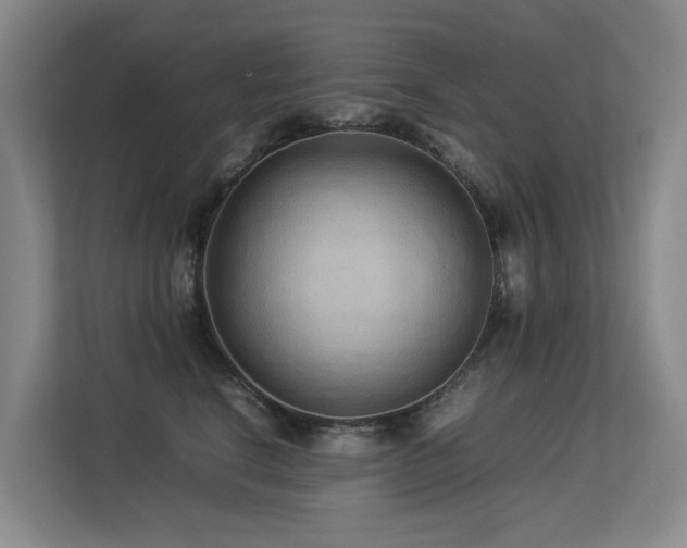 X0000113260664200909101500