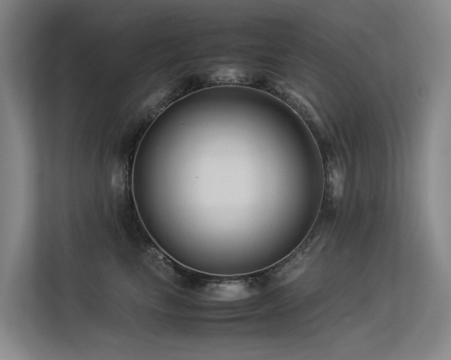 X0000113260665200909101500