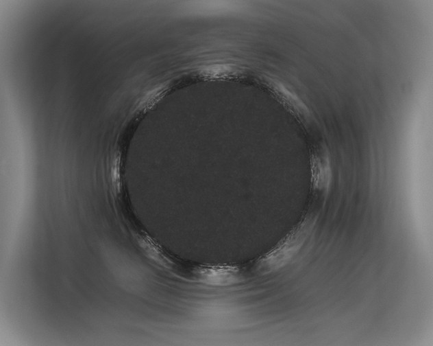 X0000113260670200909101500