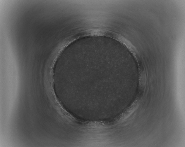 X0000113260673200909101459