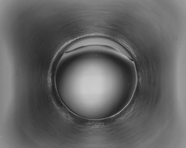 X0000113260676200909101459