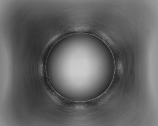 X0000113260684200909101459