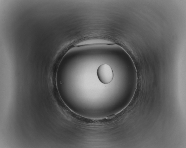 X0000113260688200909101459