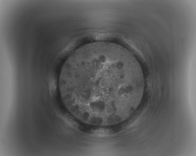 X0000113260691200909101459