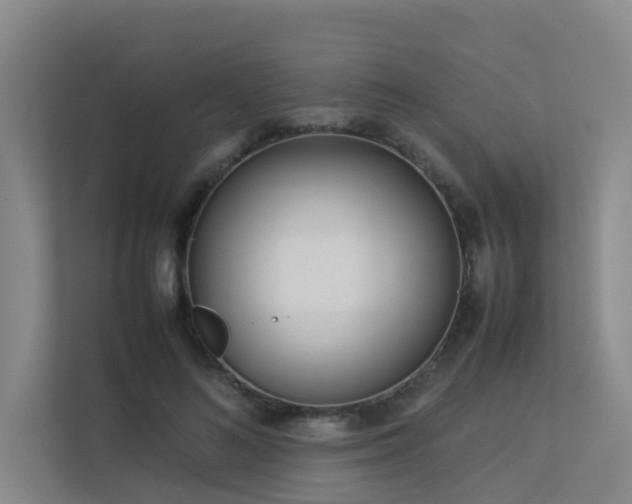 X0000113260692200909101459