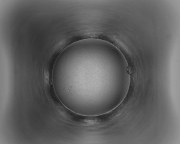 X0000113260693200909101459