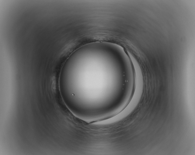 X0000113260696200909101459