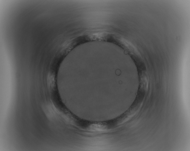 X0000113260699200909101459