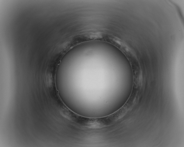 X0000113260704200909101459