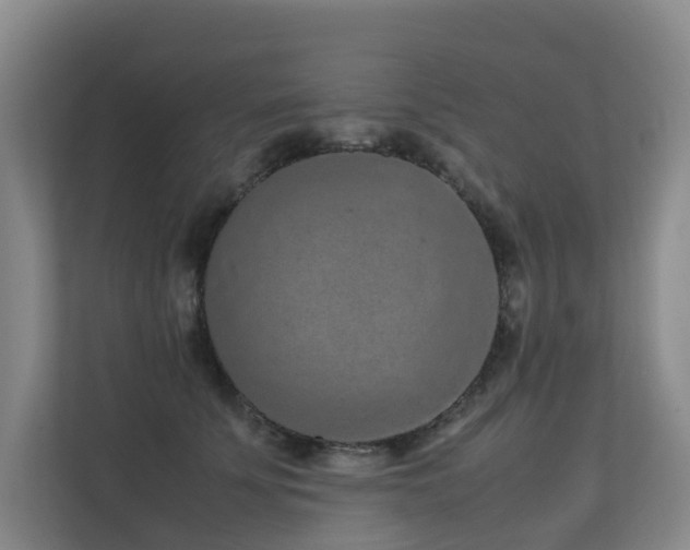 X0000113260707200909101459