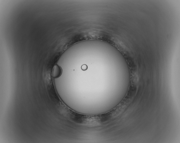 X0000113260709200909101459