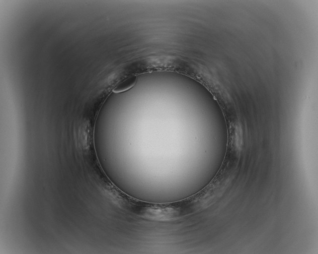 X0000113260712200909101459