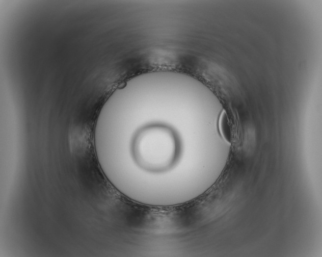 X0000113260713200909101459