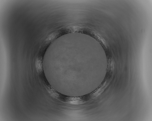 X0000113260719200909101459