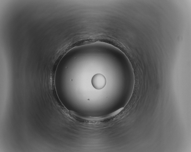 X0000113260720200909101459