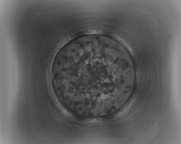 X0000113260721200909101458