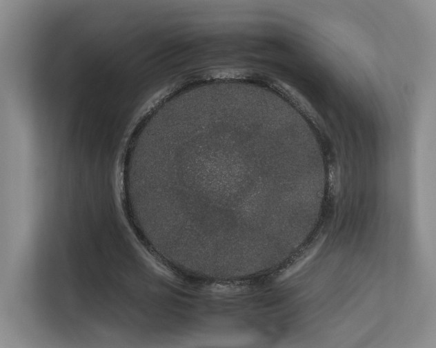 X0000113260725200909101458