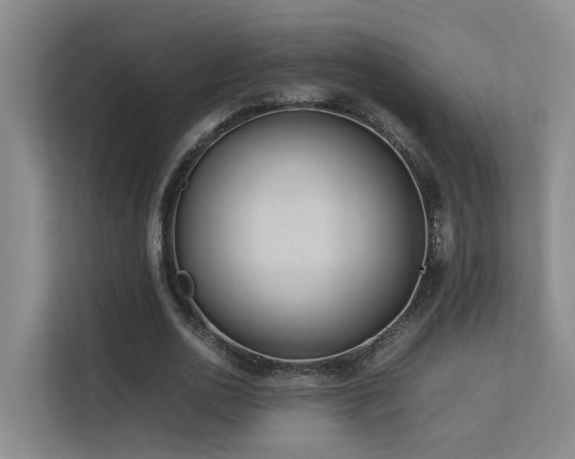 X0000113260726200909101458