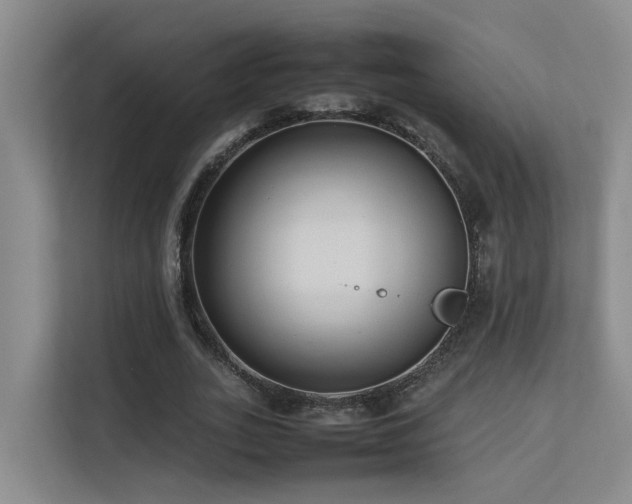 X0000113260727200909101458