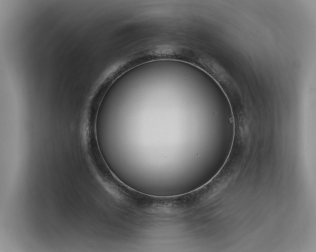 X0000113260728200909101458