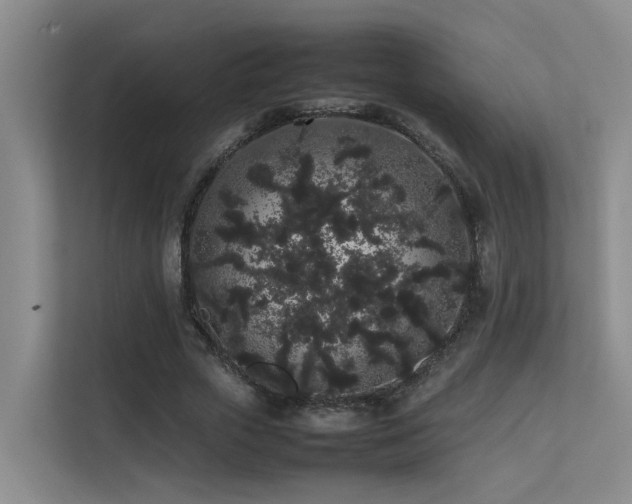 X0000113260729200909101458