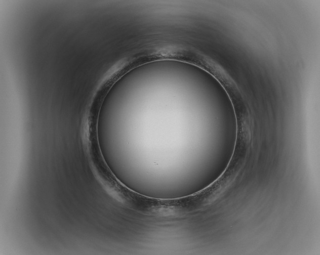 X0000113260730200909101458