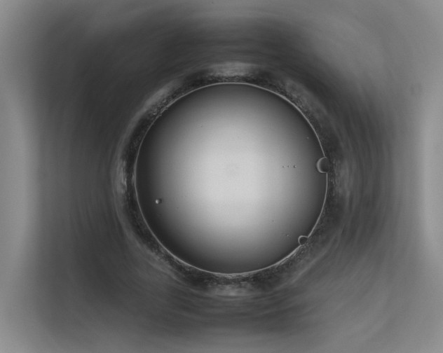 X0000113260731200909101458