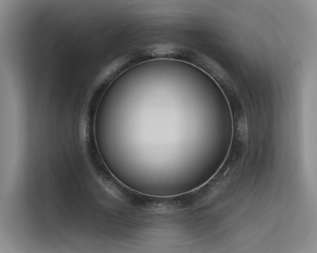 X0000113260732200909101458