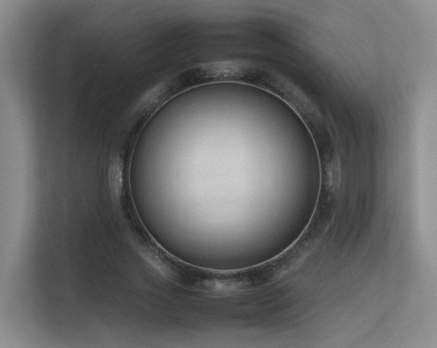 X0000113260733200909101458