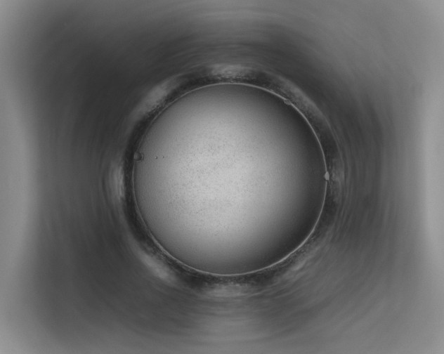 X0000113260734200909101458