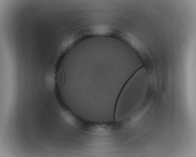 X0000113260736200909101458