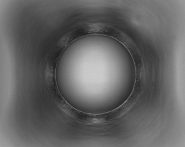 X0000113260737200909101458