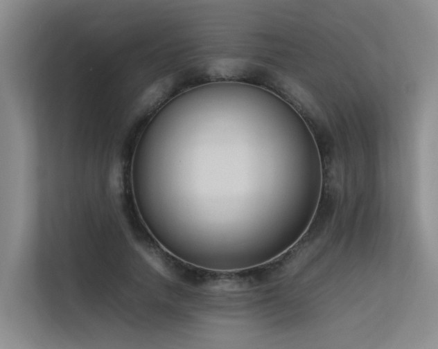 X0000113260738200909101458