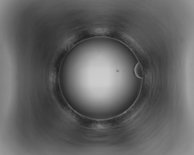 X0000113260739200909101458