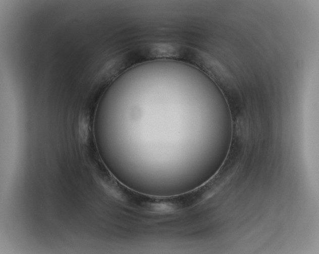 X0000113260741200909101458