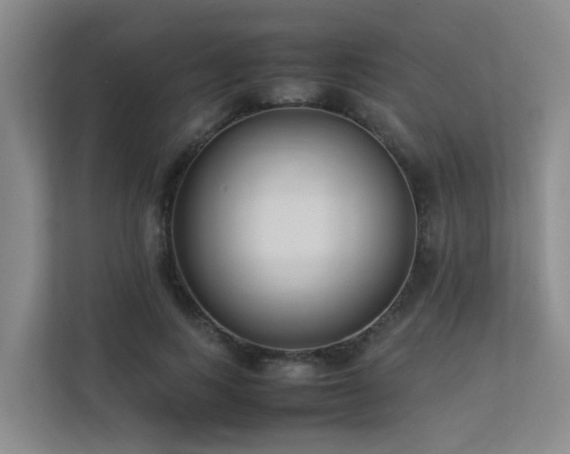 X0000113260743200909101458