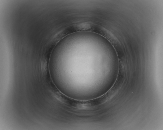 X0000113260745200909101458