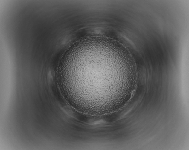 X0000113260747200909101458