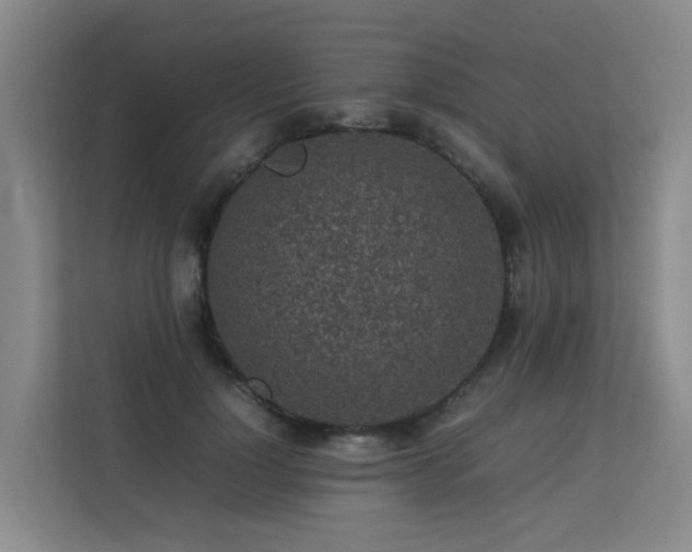 X0000113260748200909101458