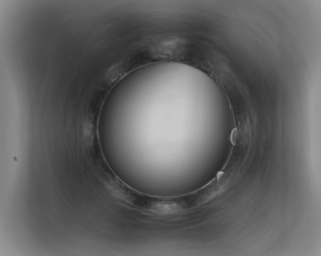 X0000113260749200909101458