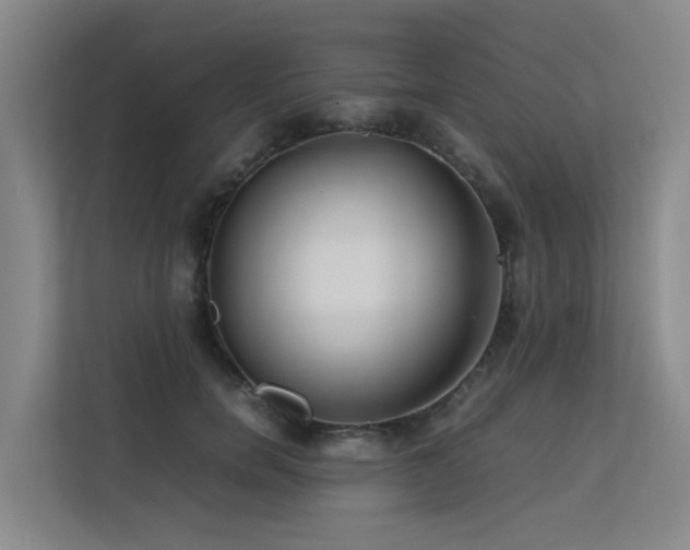 X0000113260750200909101458