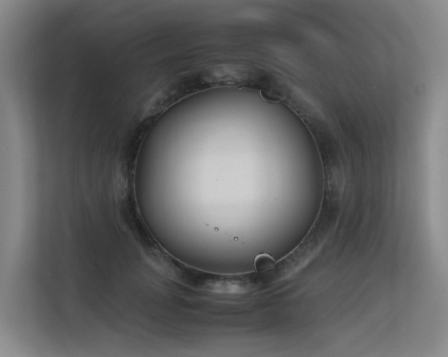 X0000113260751200909101458