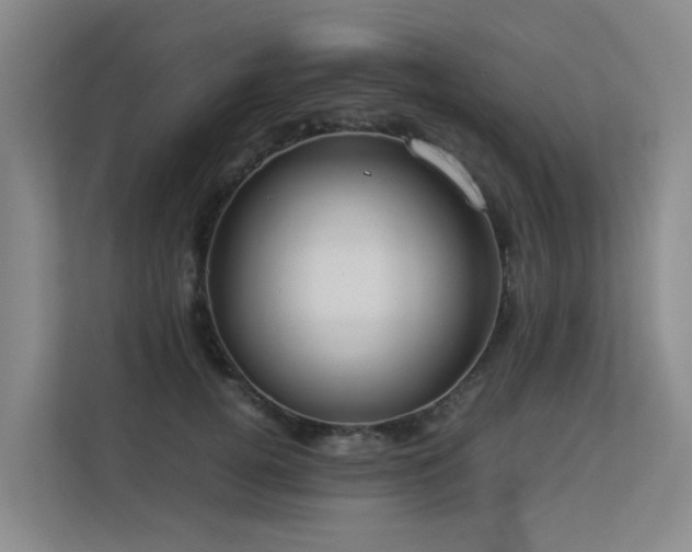 X0000113260752200909101458