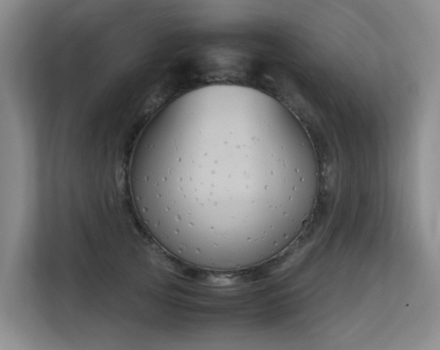 X0000113260753200909101458