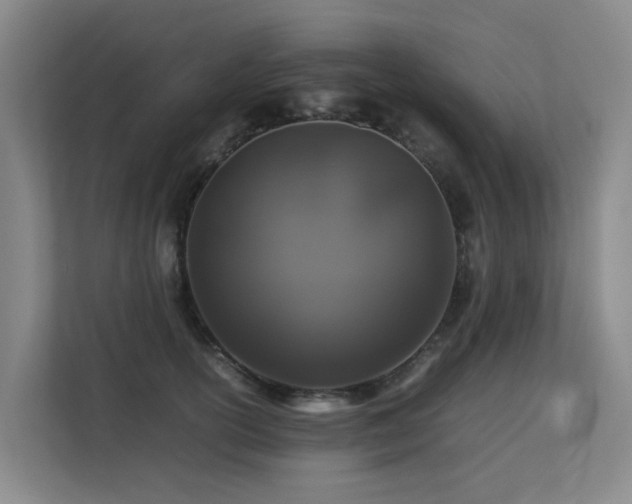 X0000113260754200909101458