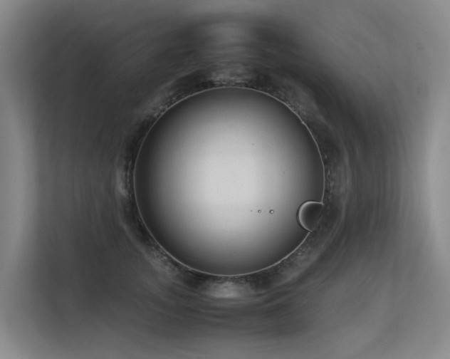 X0000113260755200909101458