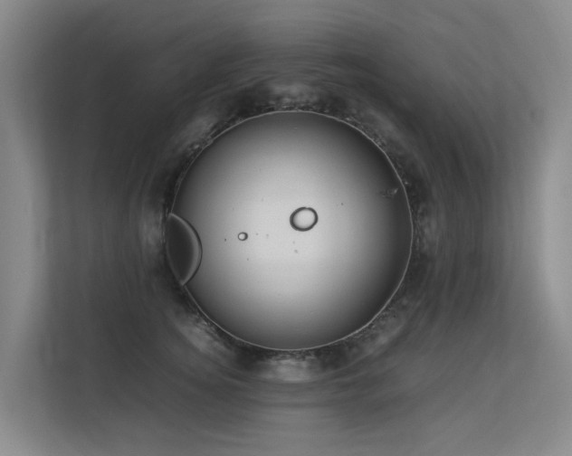 X0000113260756200909101458