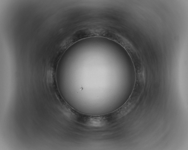 X0000113260757200909101458