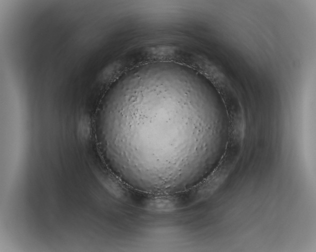 X0000113260758200909101458