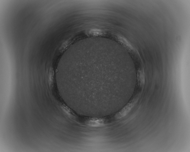 X0000113260760200909101459